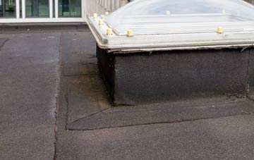 disadvantages of Burniestrype flat roofs