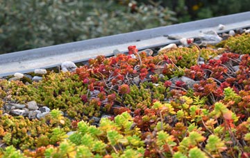 the cost of Burniestrype green roof installation