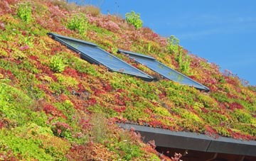 Burniestrype living roof systems