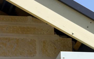 soffit repair Burniestrype