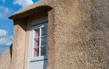 Burniestrype thatch roof disadvantages